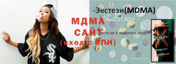 индика Гусев